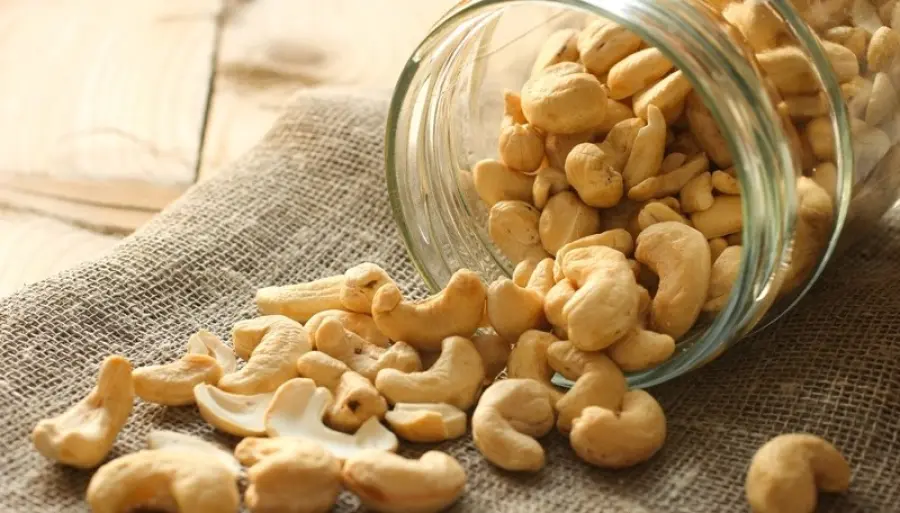 Proprietà, benefici e usi degli anacardi