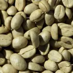 Caffè verde, il tuo miglior alleato nella dieta