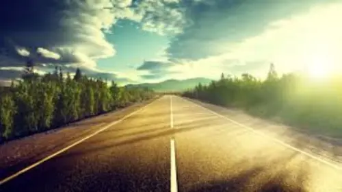 Organizzare un viaggio naturalistico per aiutare la natura