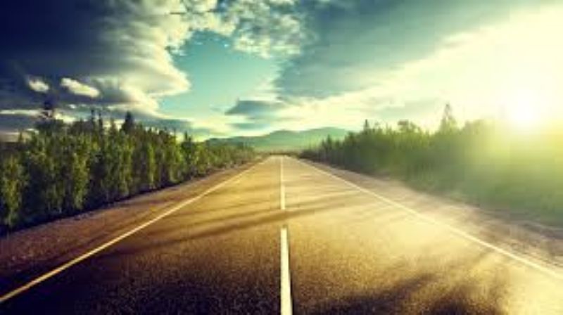 Organizzare un viaggio naturalistico per aiutare la natura